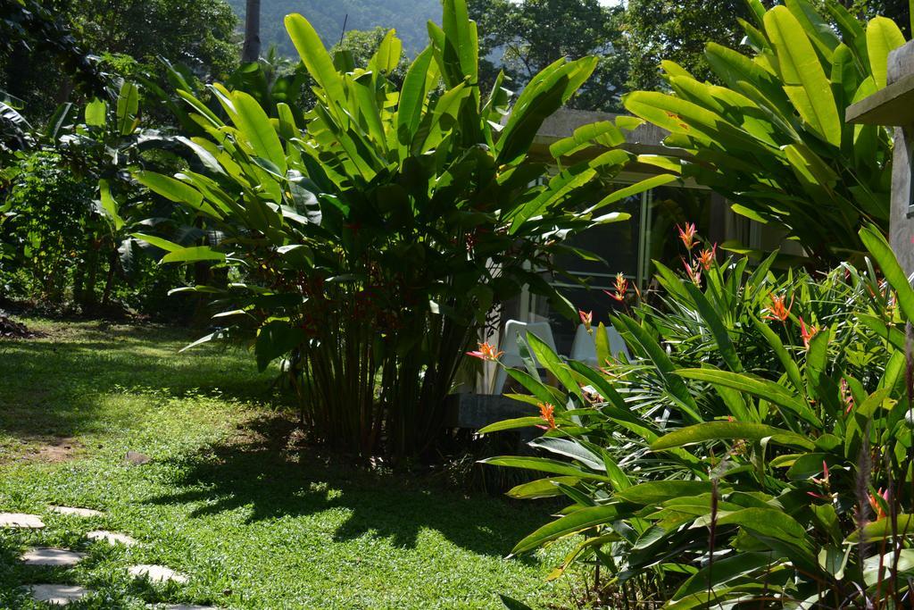 เลซี่ รีพับลิค Hotel เกาะช้าง ห้อง รูปภาพ